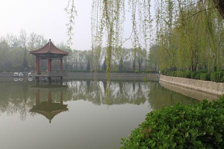 清河天气预报10天查询，末来十天天气