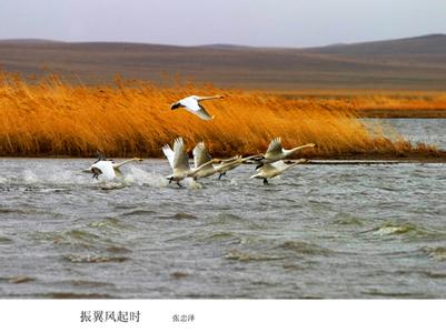 鄂温克族旗天气预报10天查询，末来十天天气