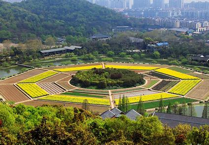 上城天气预报10天查询，末来十天天气