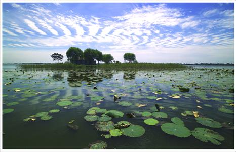 任城天气预报10天查询，末来十天天气