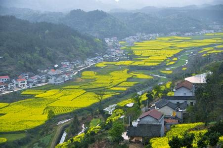 澧县天气预报10天查询，末来十天天气