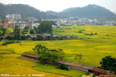 新兴天气预报10天查询，末来十天天气