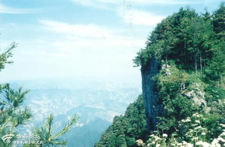 山阳天气预报10天查询，末来十天天气