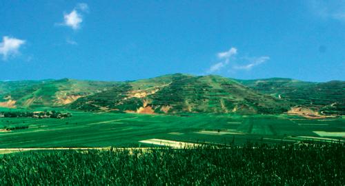 泾川天气预报10天查询