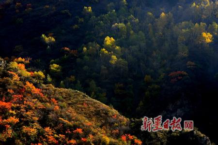 巩留天气预报10天查询，末来十天天气