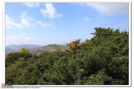 七里河天气预报30天查询,七里河区一个月天气