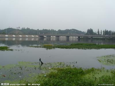 信阳平桥天气预报_平桥天气预报一周7天10天15天信阳平桥天气预报,平桥天气预报一周7天10天15天