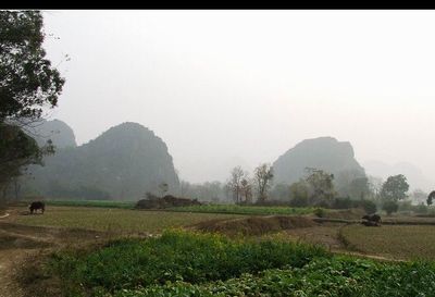 桂林父子岩天气