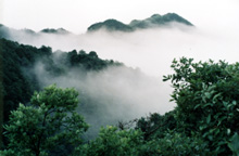 邵阳云山天气