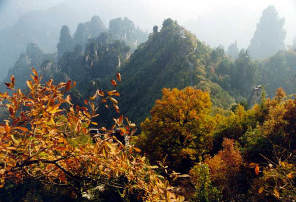 张家界天台景区天气